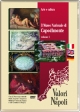 Il Museo Nazionale di Capodimonte - vol. 1. DVD