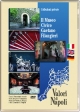Il Museo Civico Gaetano Filangieri. DVD