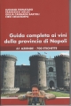 Guida completa ai vini della provincia di Napoli