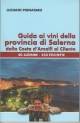 Guida ai vini della provincia di Salerno dalla Costa d'Amalfi al Cilento